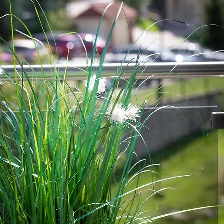 Lejlighed Gorzysty Ii